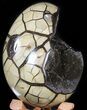 Septarian Dragon Egg Geode - Black Crystals #48006-2